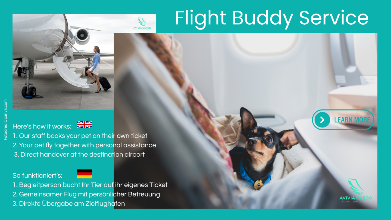 Flight Buddy Service Flight Buddy Service